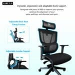 Best Ergonomic Chair Back Support