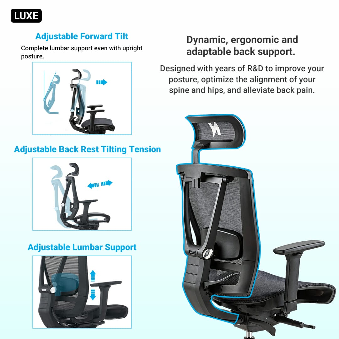 Ergonomic Office Chair Singapore, Ergo Office Chair Singapore, Buy or Shop Ergonomic Office Chair
