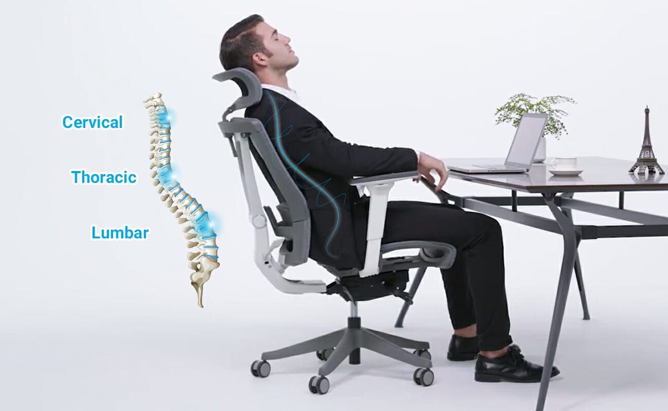 Ergonomic Back Rest Chair