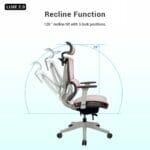Ergonomic Office Chair