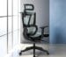 Do Ergonomic Chairs Actually Improve Productivity?